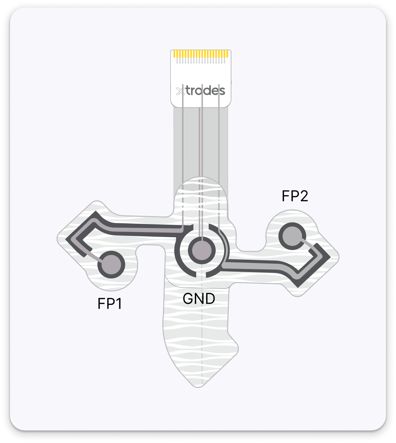 Channel mapping on X-trodes montage xtrEXG2
